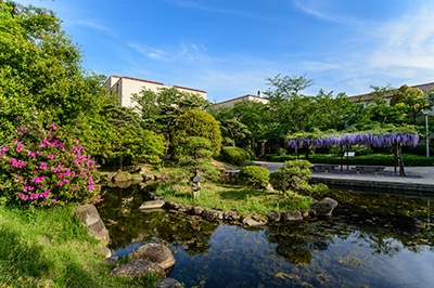 The Japanese garden at KGU